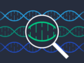 Algoritmi genetici – cosa sono